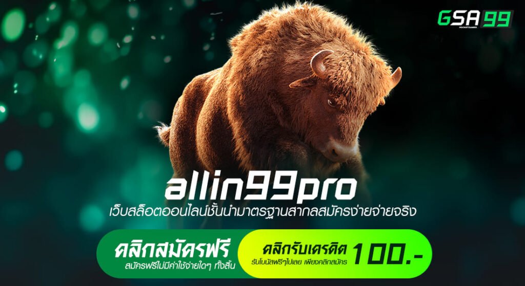 allin99pro