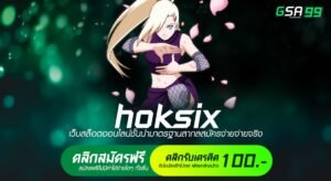 hoksix